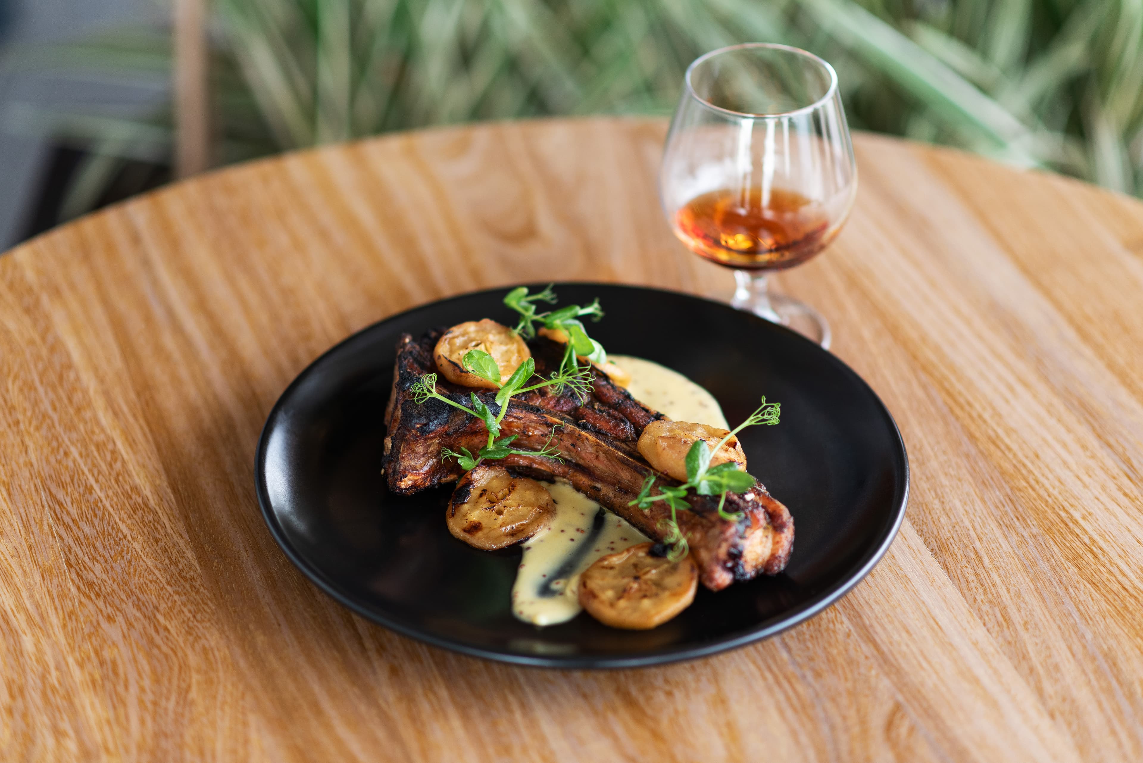 Plated MALT ribs and prime cuts